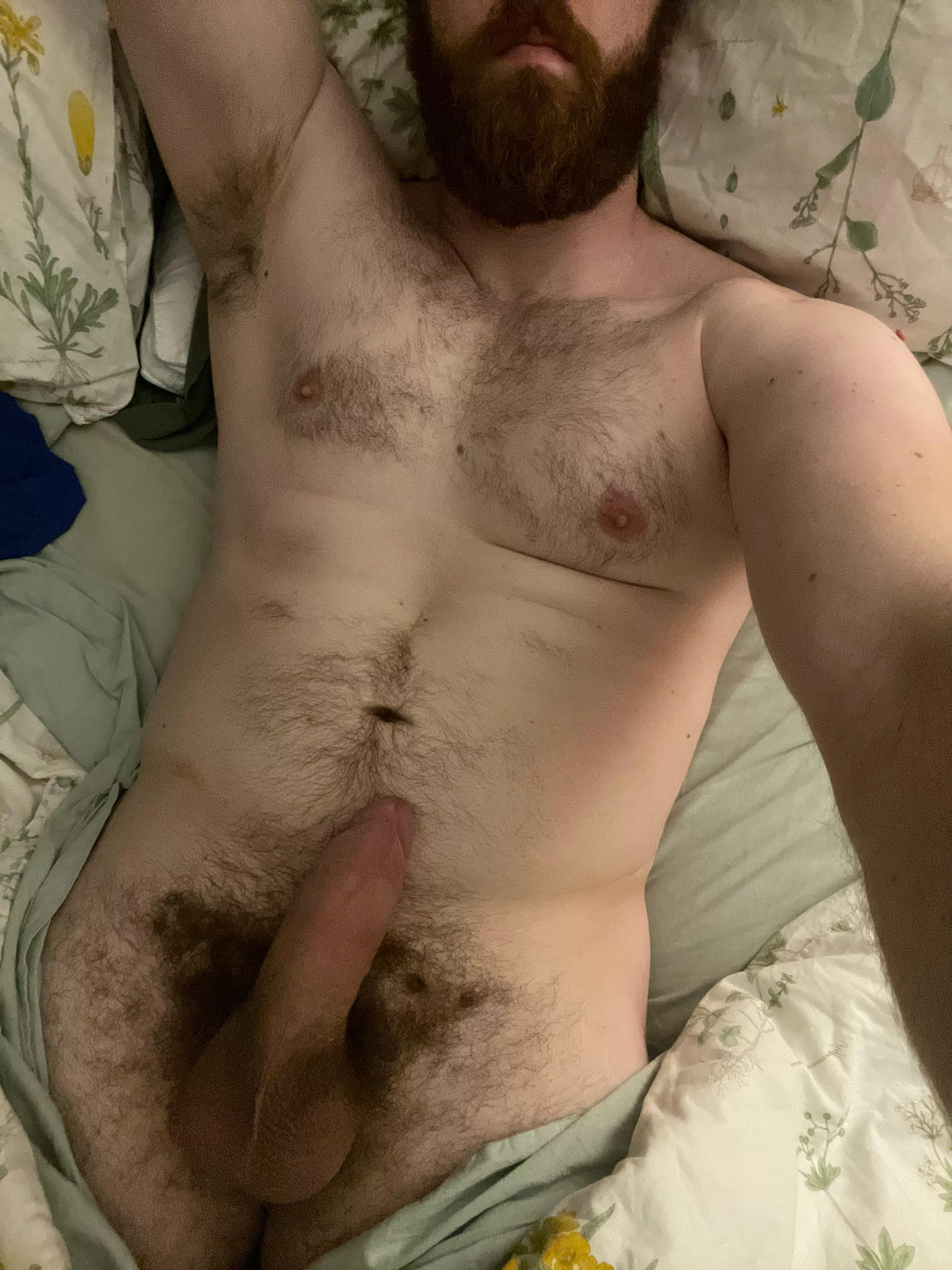 29, 6’5”, bi, and hard af thinking about pleasing you with my thick cock, thick beard, or fat ass. Which do you want?