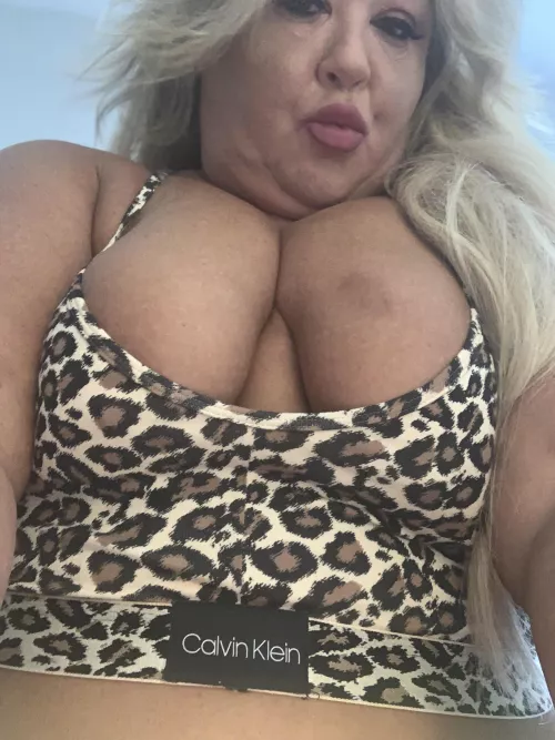 A little more of cheetah for you!