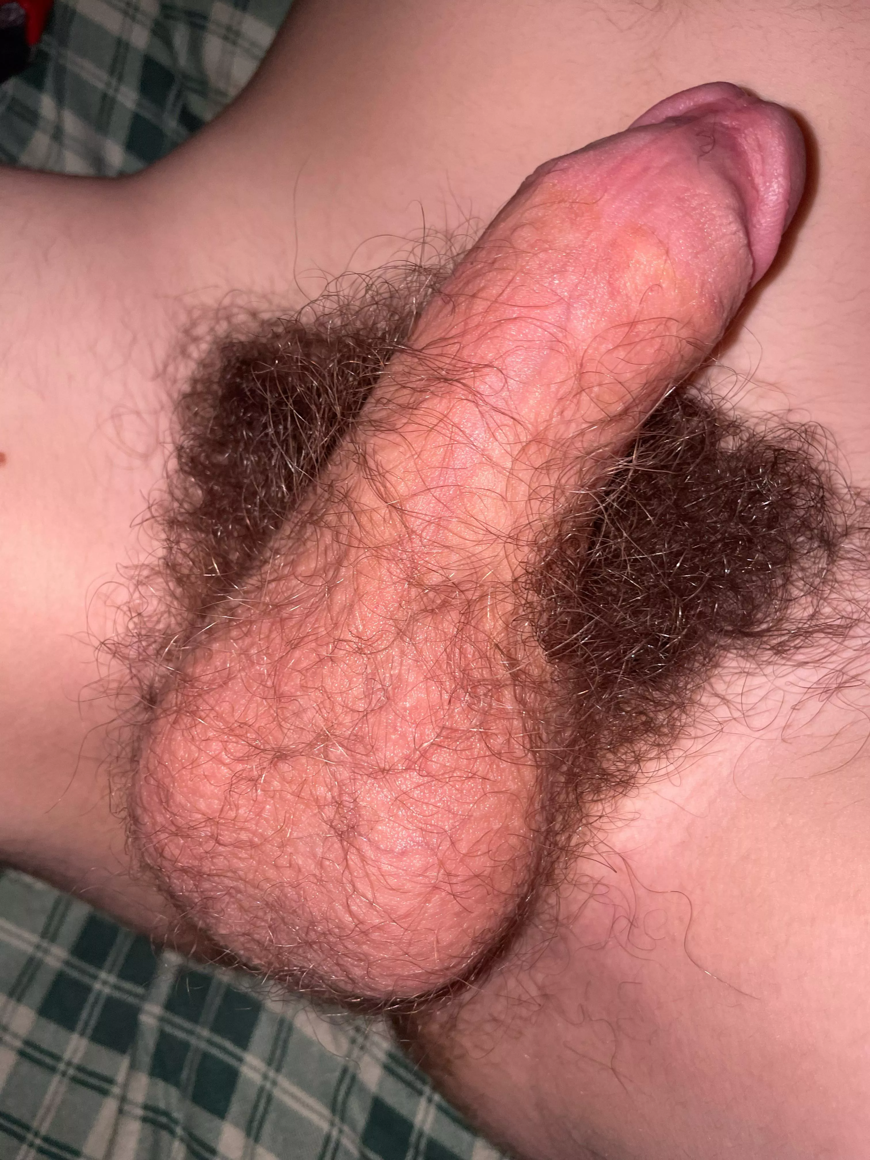 Anyone who wants a sniff?