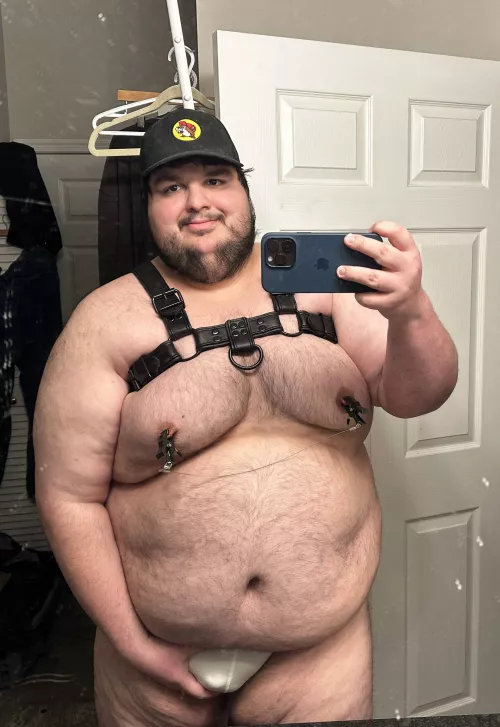 Broke out the jock and harness last night. Who wants to play with this cub.