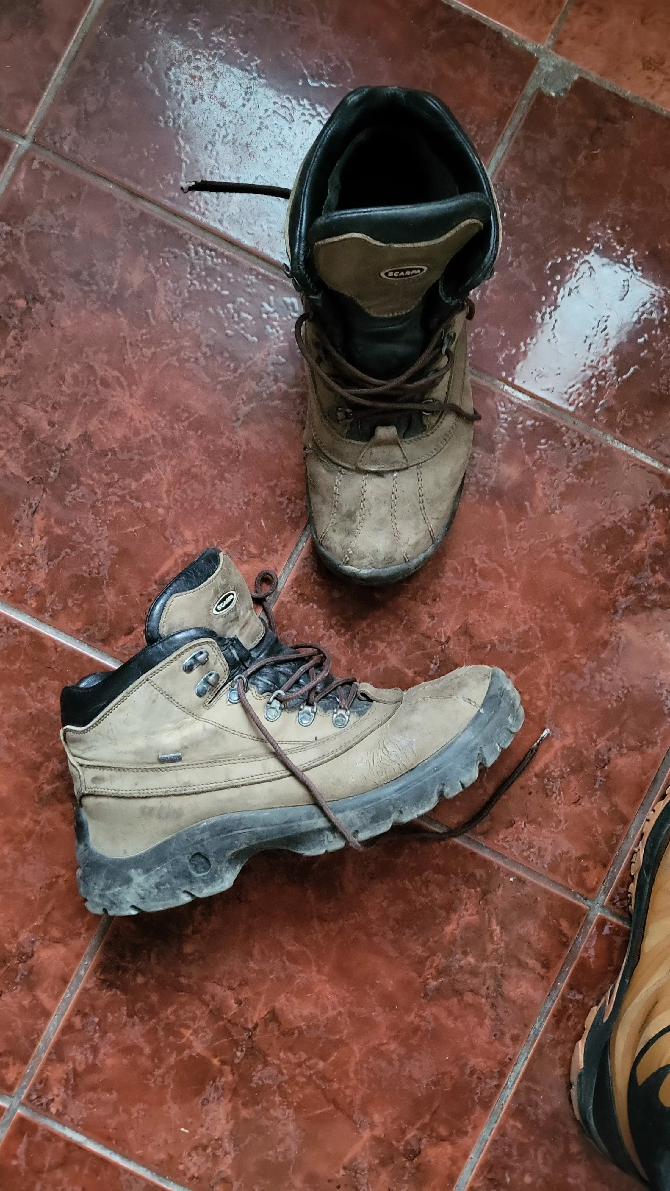 Can somebody tell me what are the name of these scarpa boots