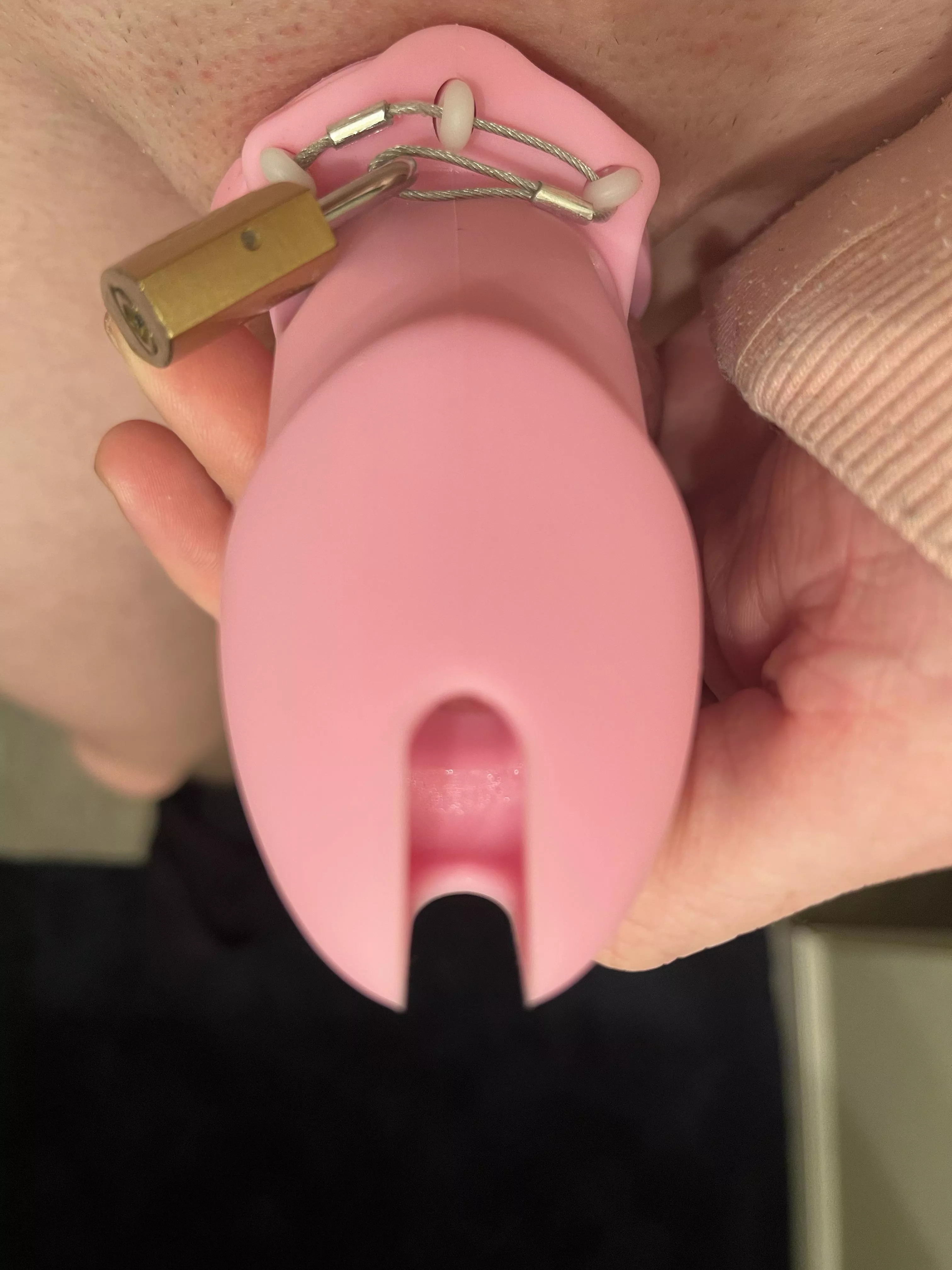 Can’t even fill up my cage 🤭