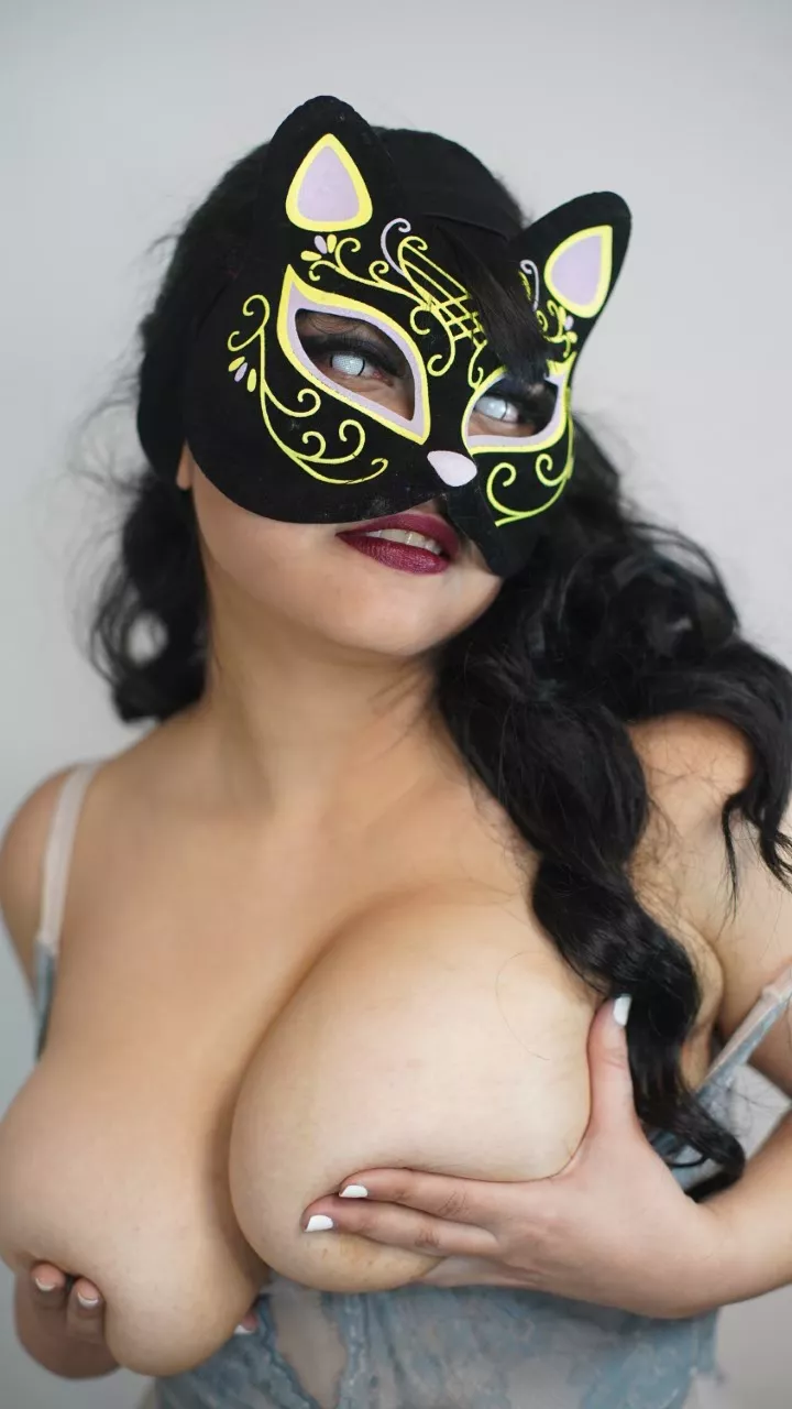 Do you want to pet this kitty?