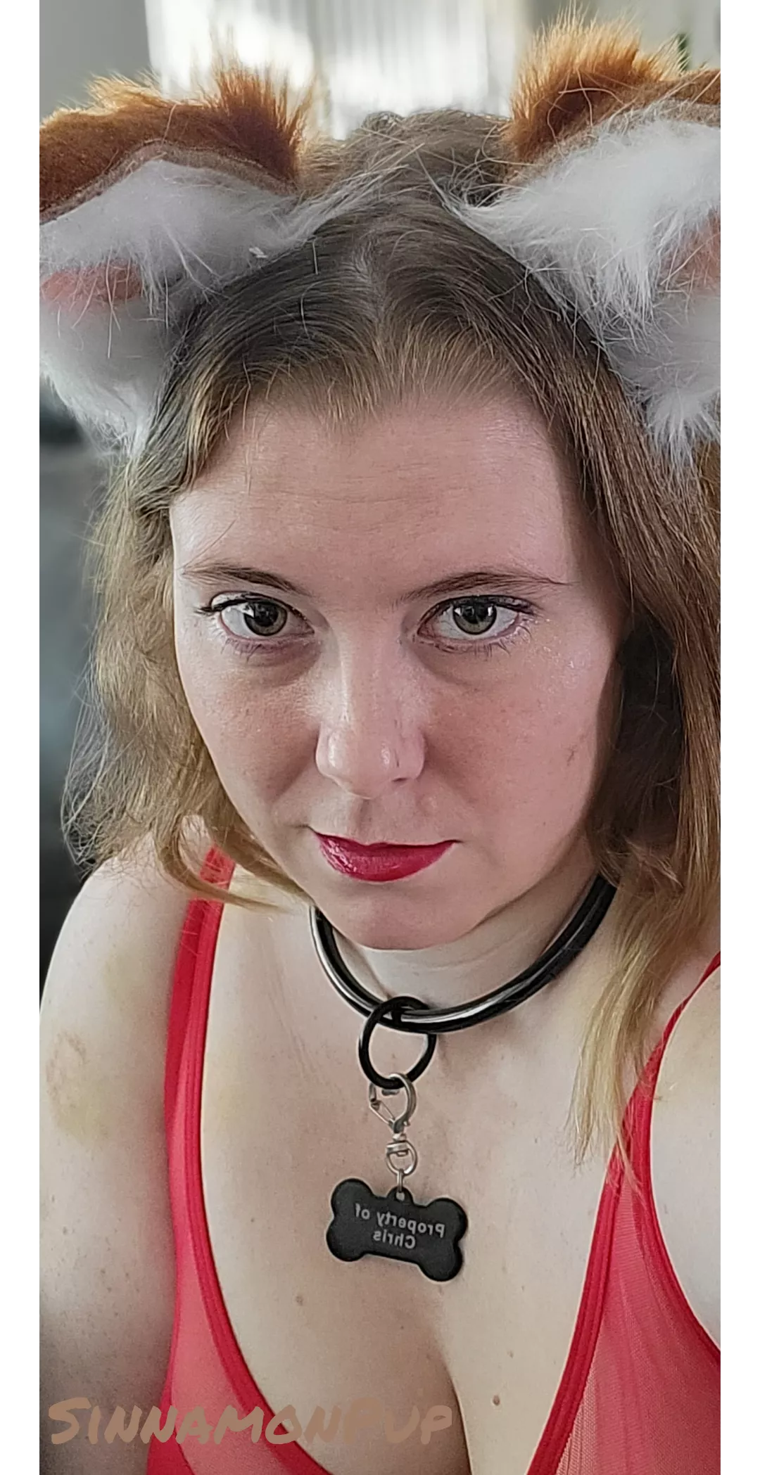 Feeling the puppy today