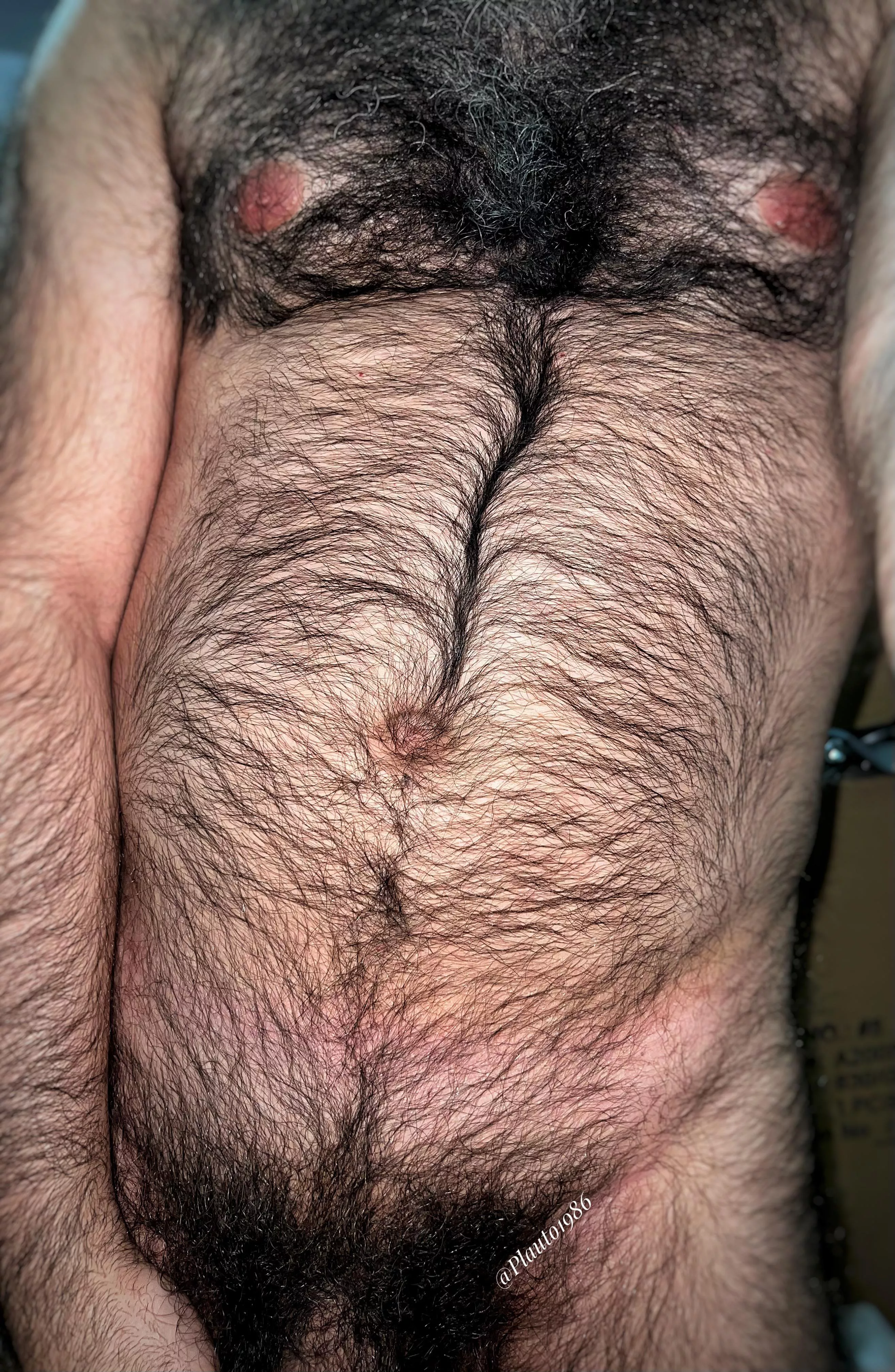 Get lost in this jungle of masculinity, boy!