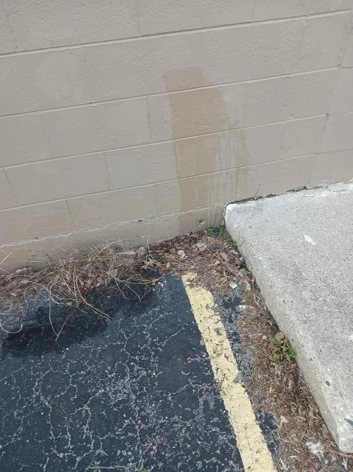 Had to piss today walking to phone store, so walked over to the side of a building where anyone could see and took a piss. (I did see a car drive in the area who may have spotted me)