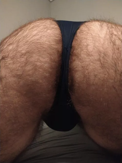 Hairy ass in panties
