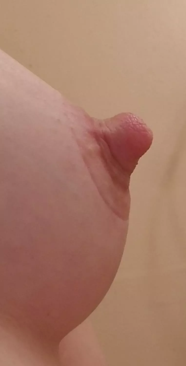 How much do you wanna see a perky close up??
