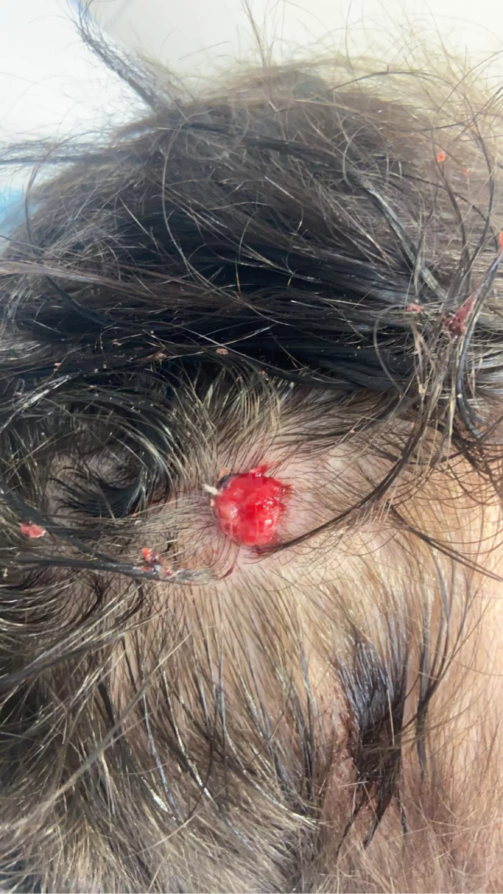 Just looking to see if any of you can help identify what the hell is going on