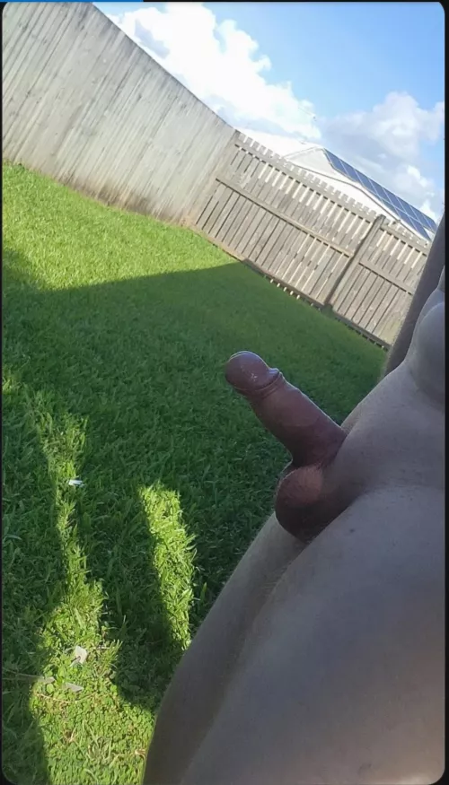 Love it when the neighbour catches me 😈