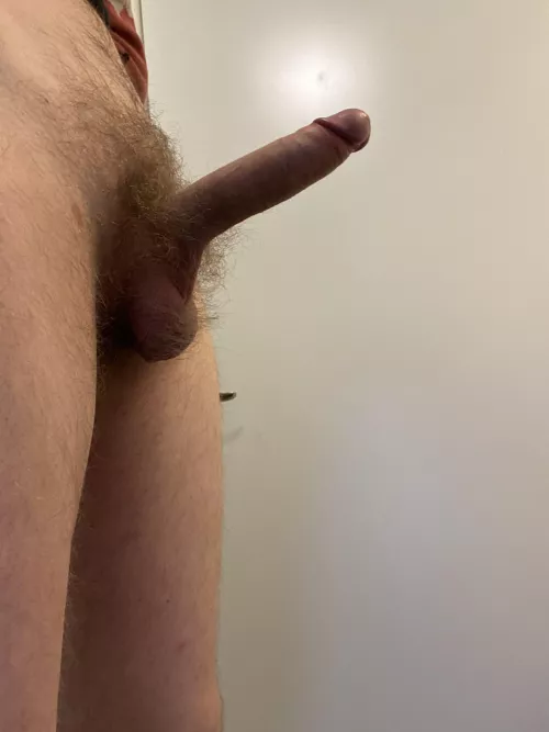 Need someone to play with