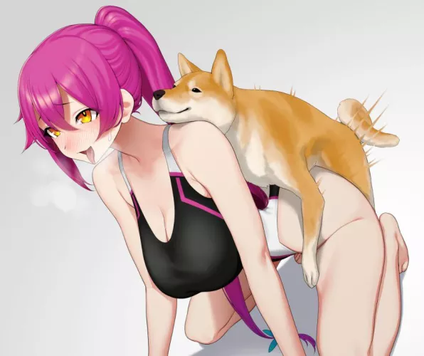 Shiba Inu having fun with HIS women. (Gishu)