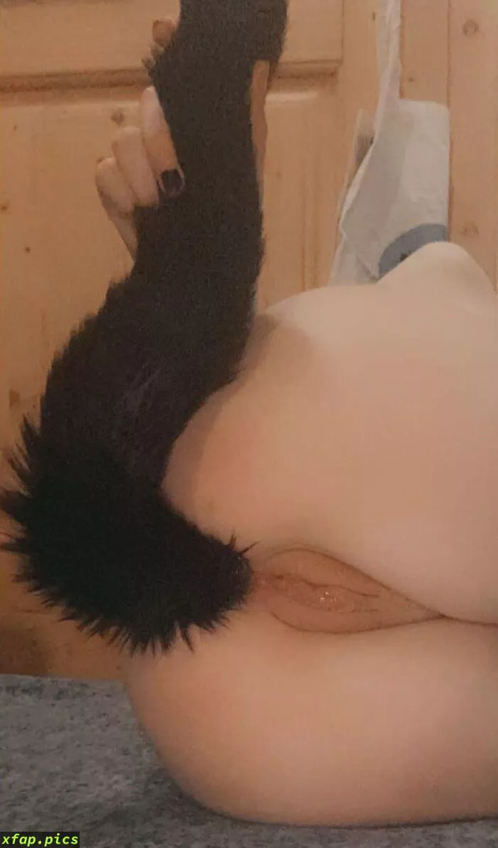 Submissive Cat Girl searching for friends :3