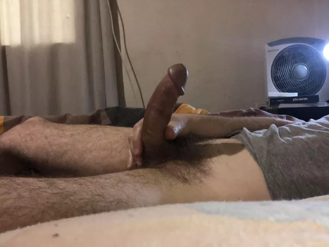 Taking care of the wood