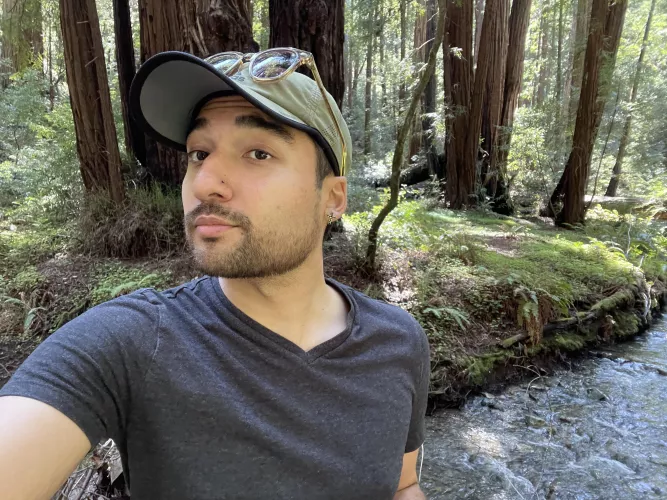 Visiting SF for the first time. This is Muir Woods!