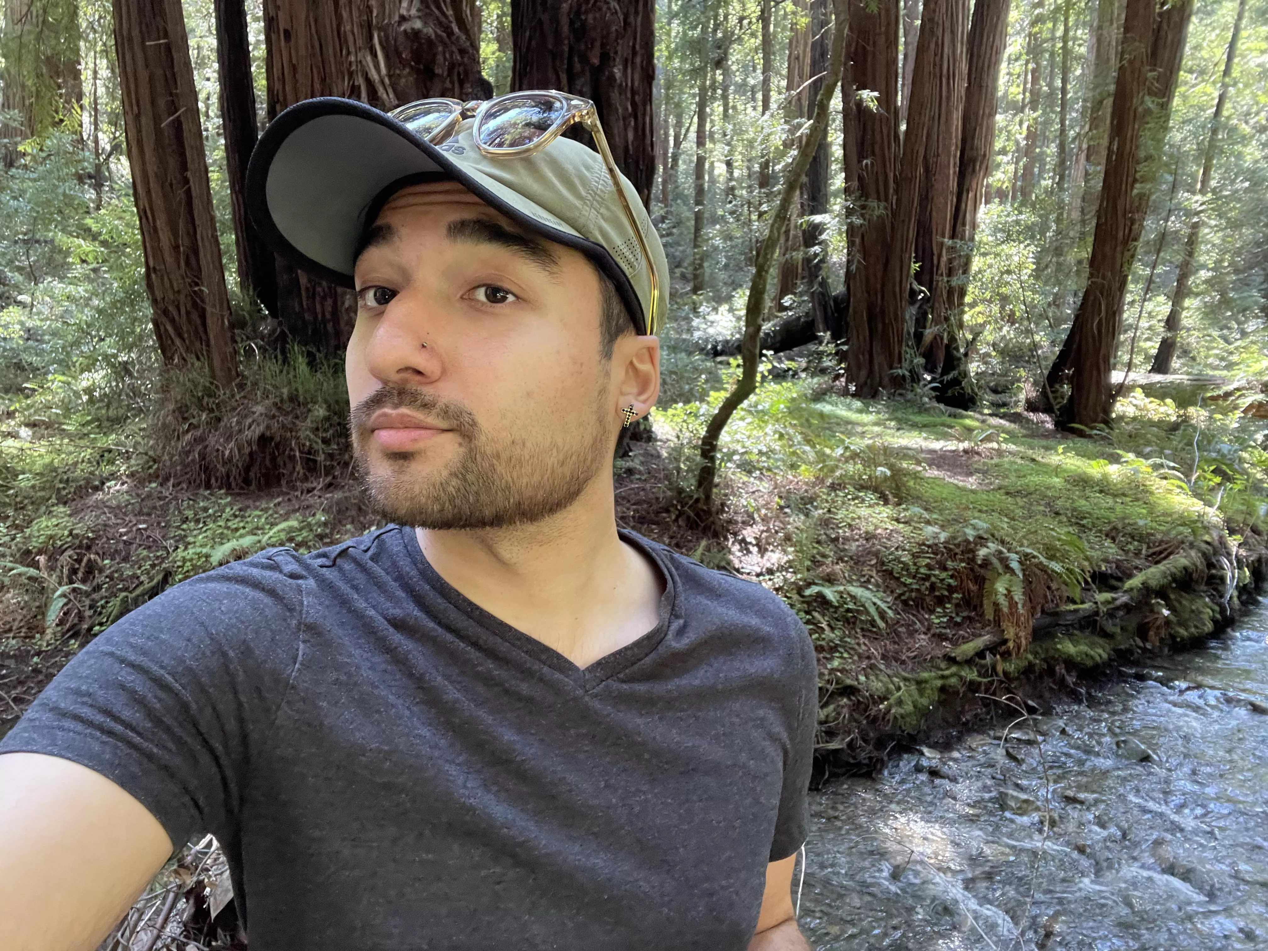 Visiting SF for the first time. This is Muir Woods!