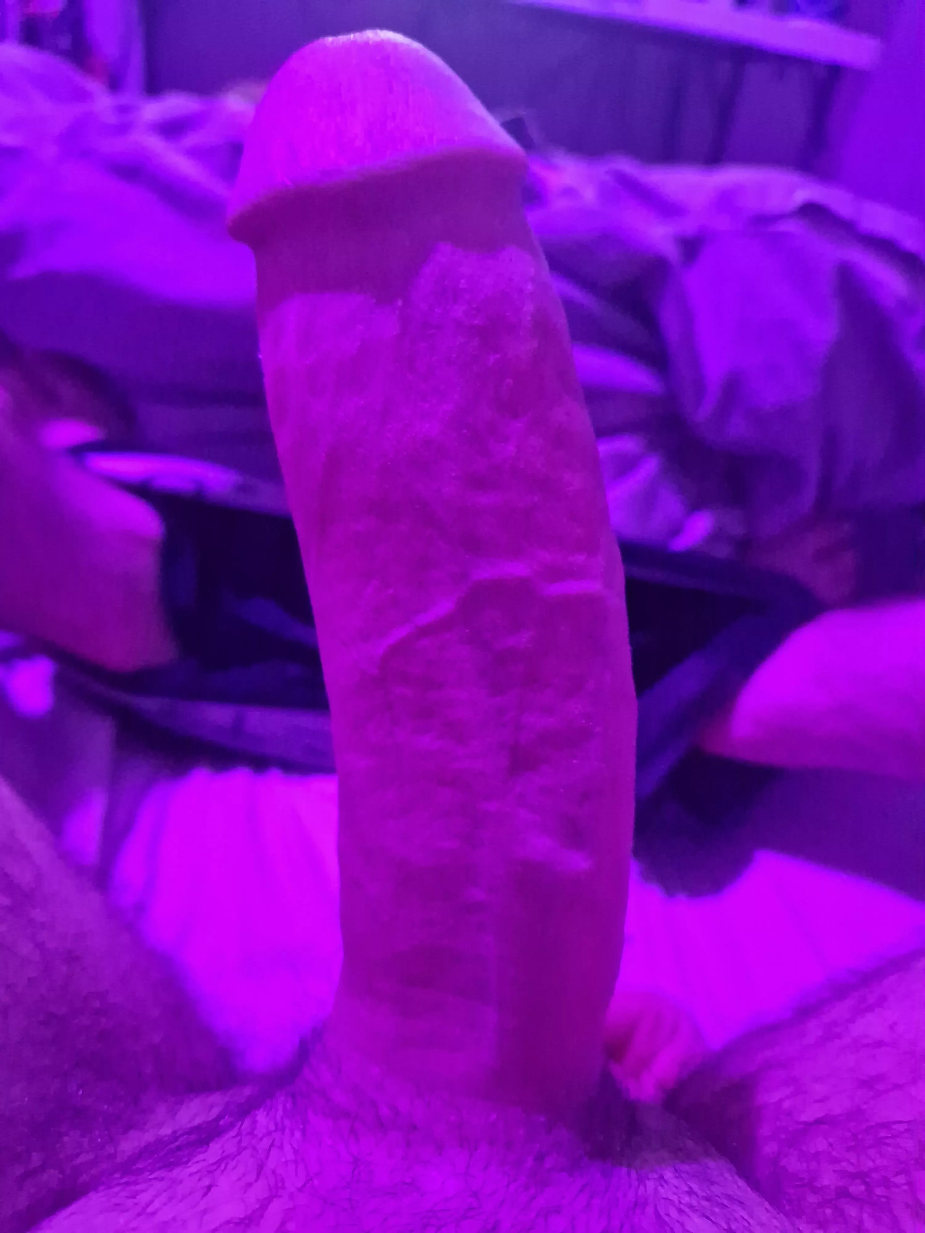 (Age 20) Thick dick with the bi/gamer lighting
