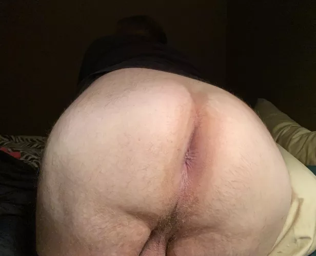 All this ass for you