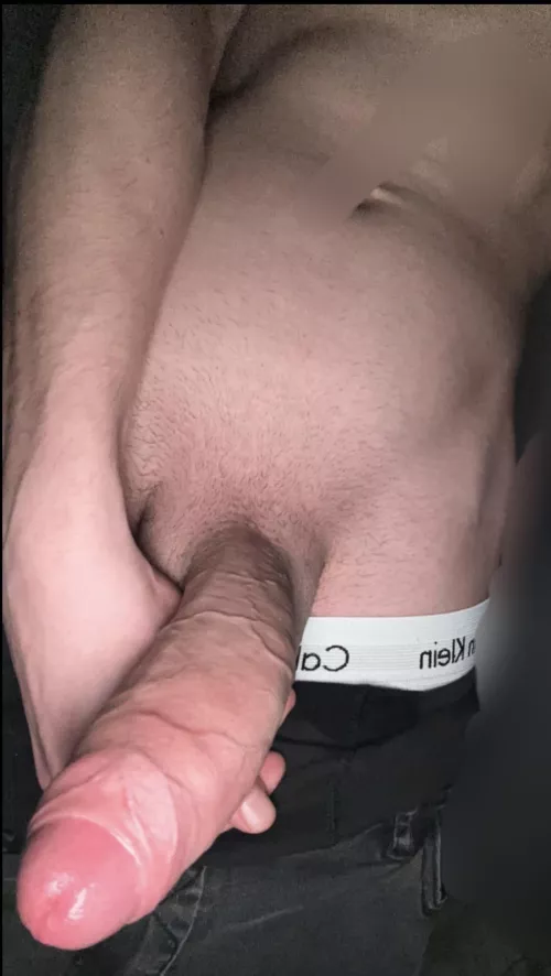 Any woman or couple like to dominate a big cock?