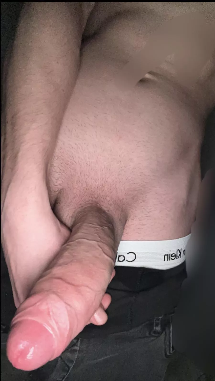 Any woman or couple like to dominate a big cock?