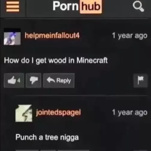 bro does NOT know how to get wood in mincraft
