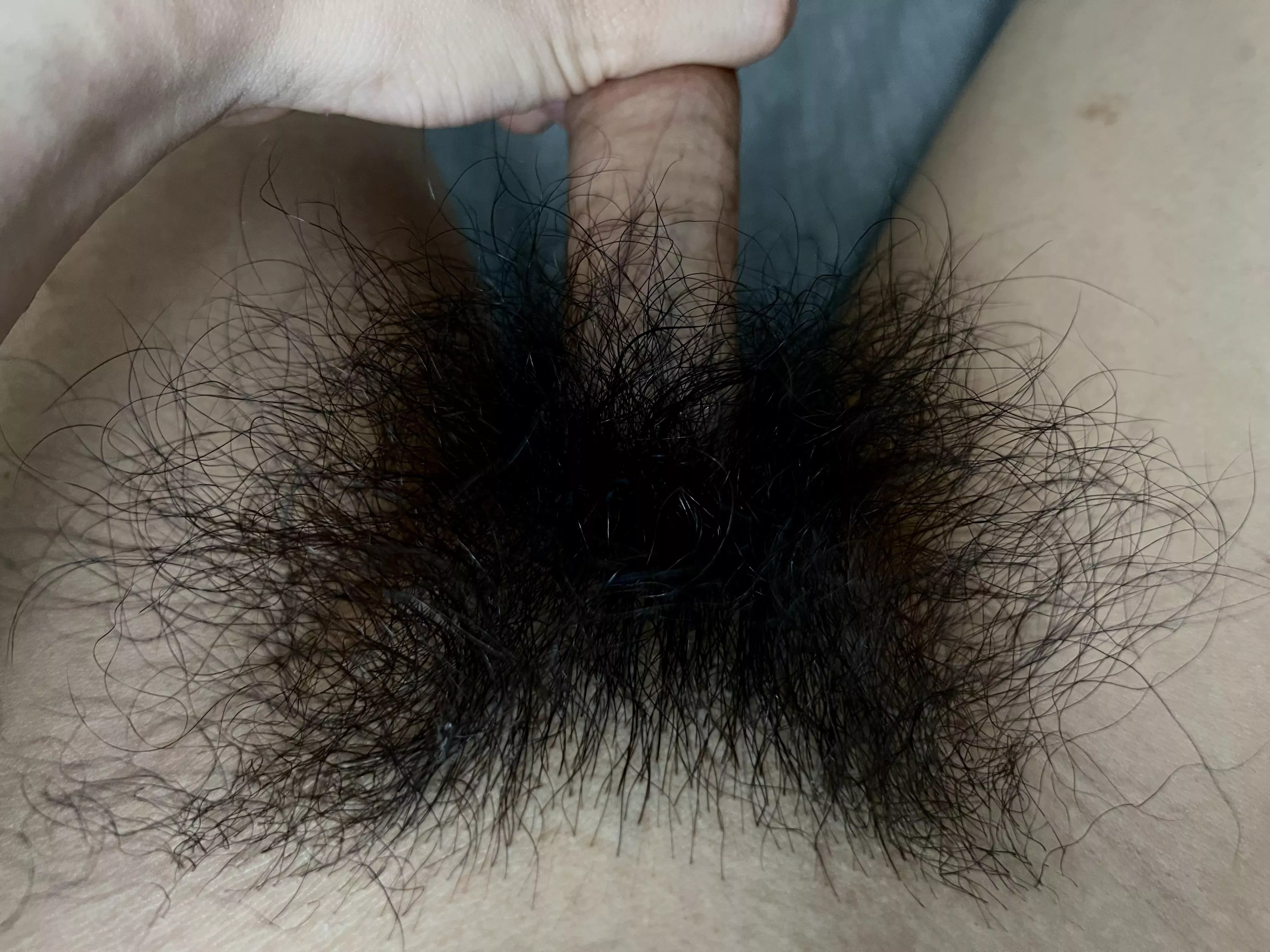 Bush is looking thick tonight!