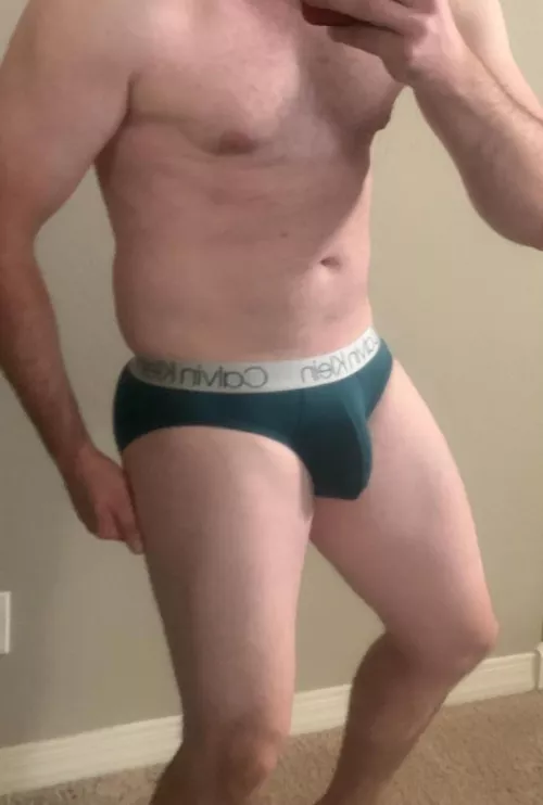 Calvin Klein Brief Bulge