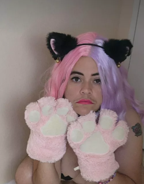 Come feel how soft my paws are