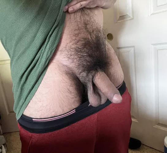 Come help the turtle out of its shell :)