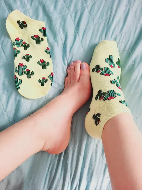 [F] Today I'm using cactus socks (OC)