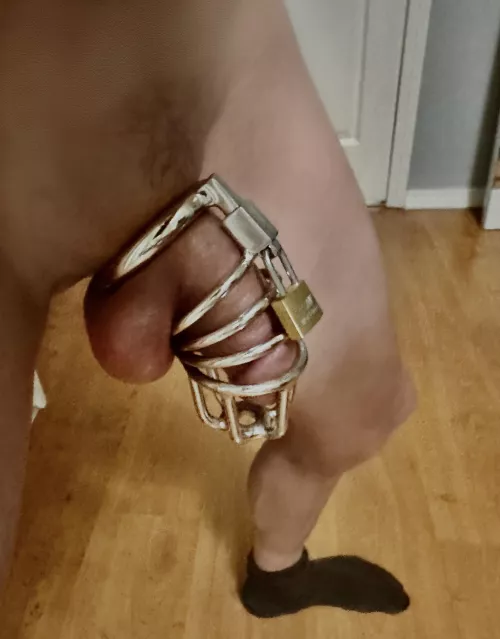 Felt like being caged