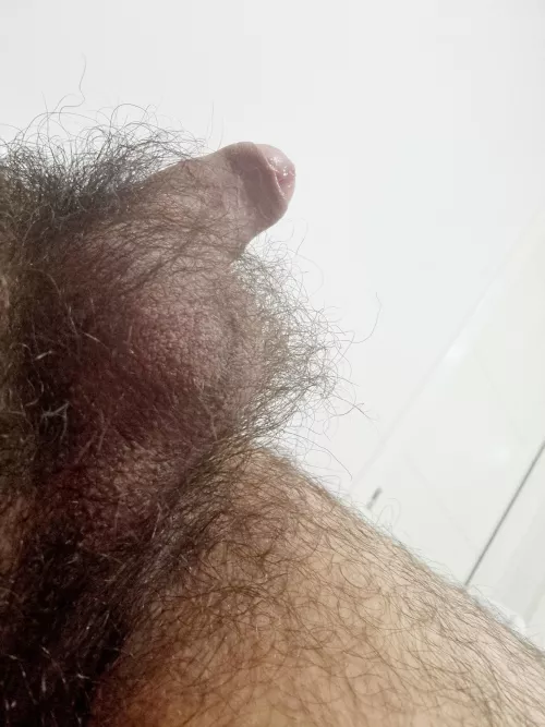 Go ahead... mush your face into the thick of it all and breathe it in like it's your last day on earth