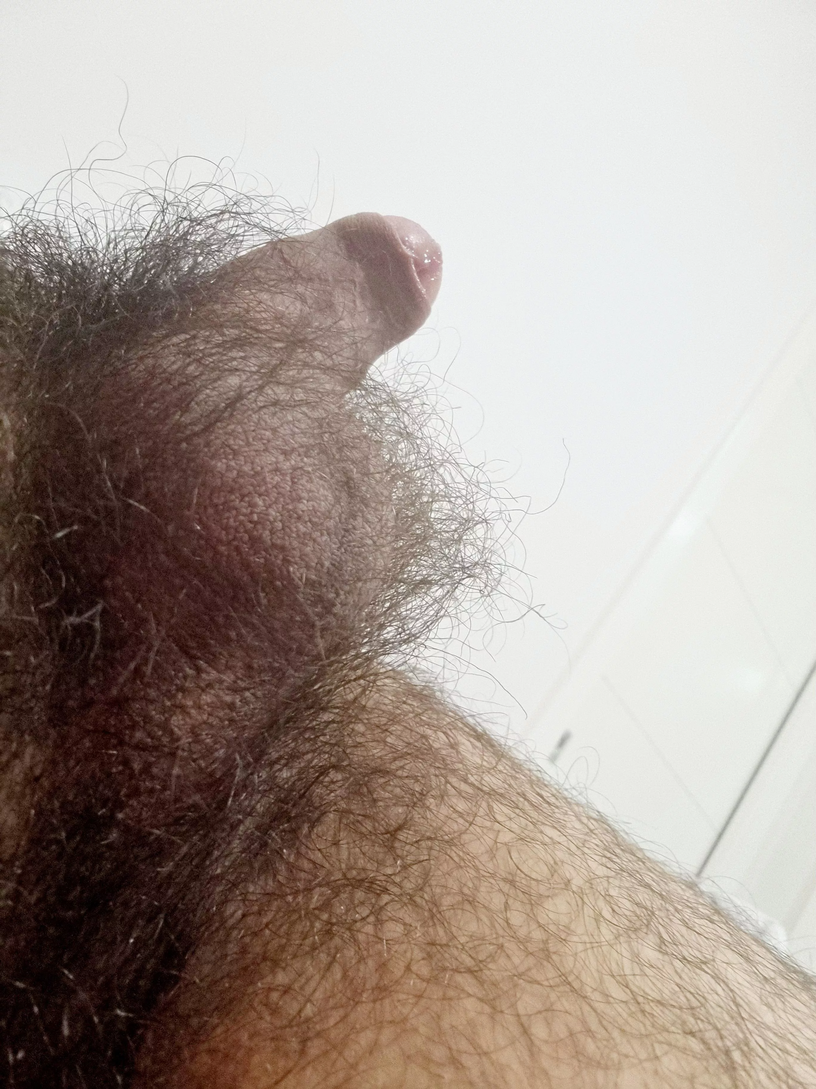 Go ahead... mush your face into the thick of it all and breathe it in like it's your last day on earth