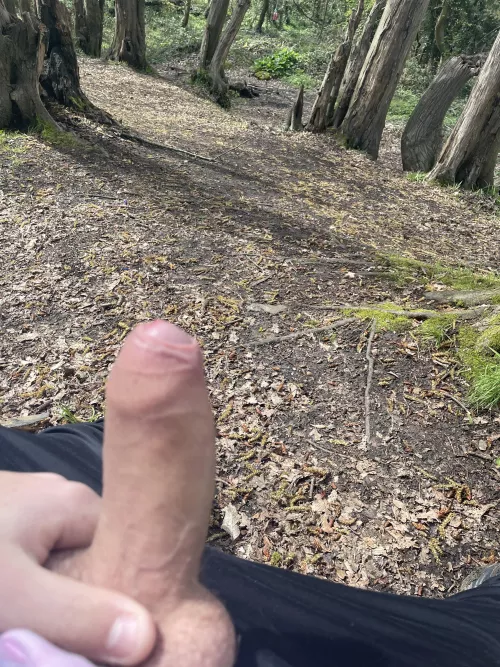 Had to pause on my daily walk