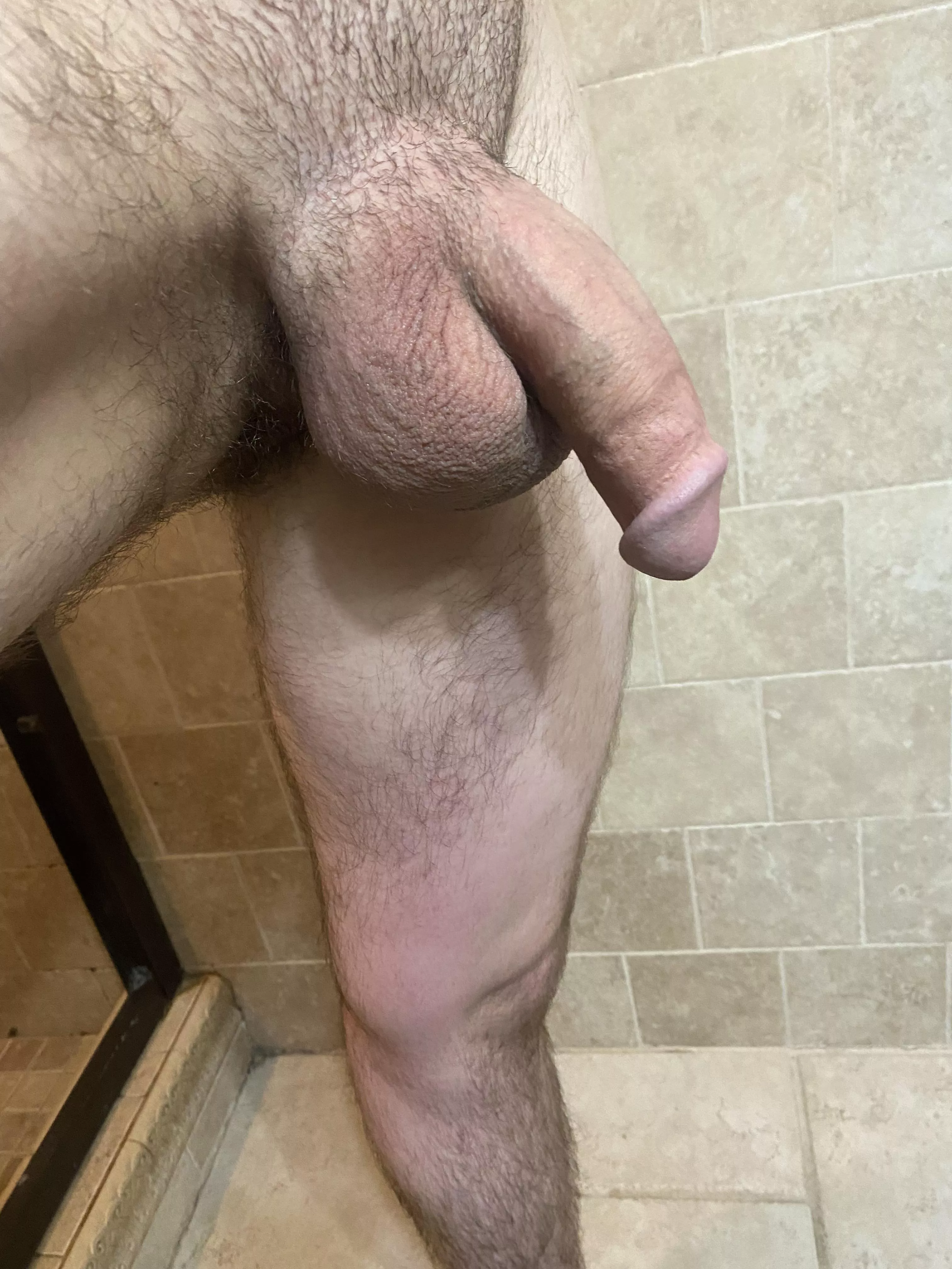 I think I got a nice looking cock, anyone agree?