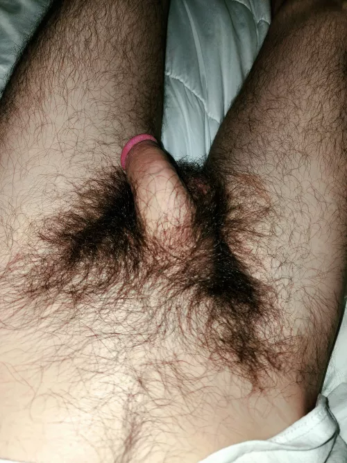 ⬆️ if you'd take a big whiff