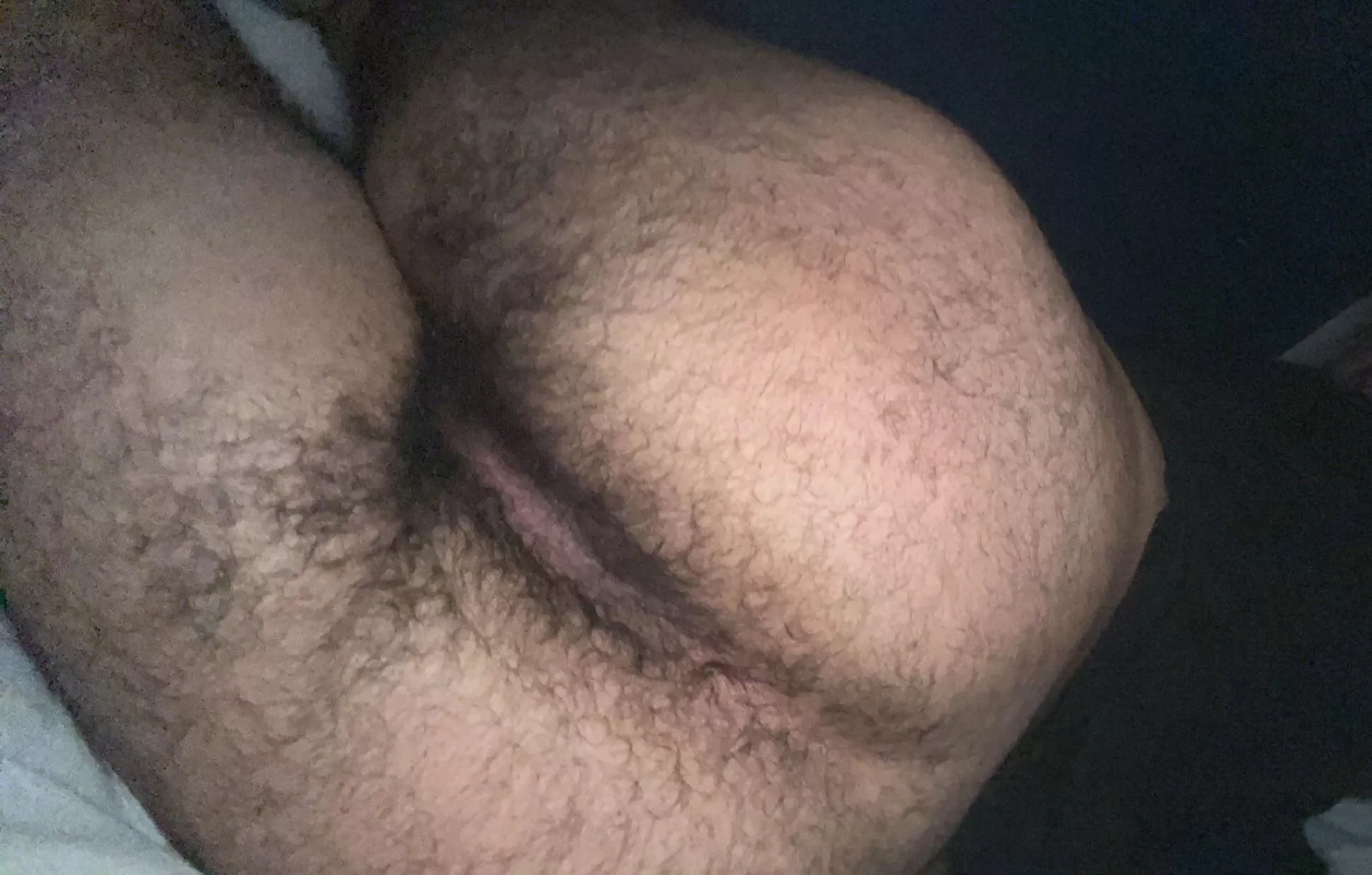 Is my manass hairy enough for you?