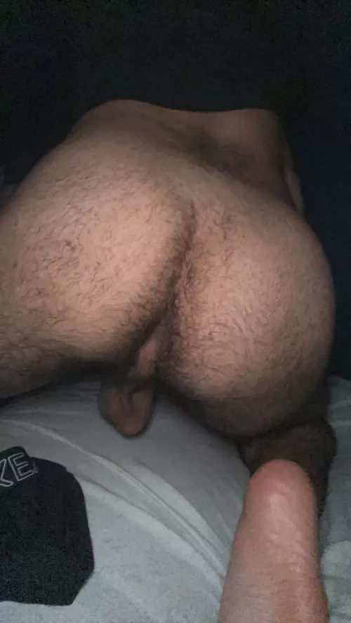 My hairy man ass all for you