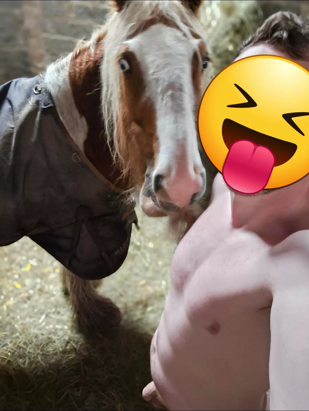 My horse isn't a nudist