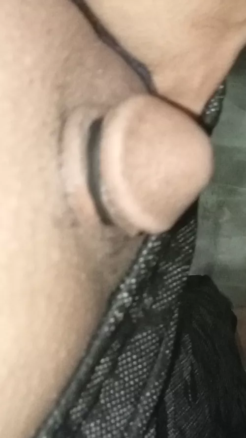My small cock