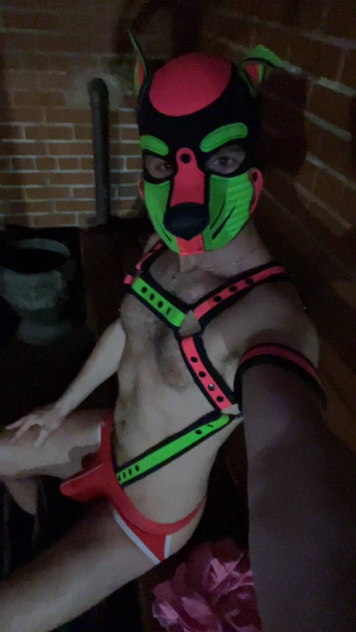 Okay, I’m sitting. I can get treat now?