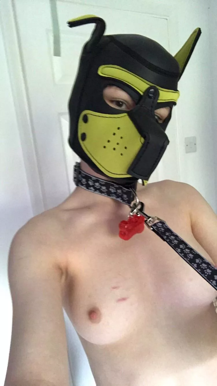 Pull my leash ?? (He/him)