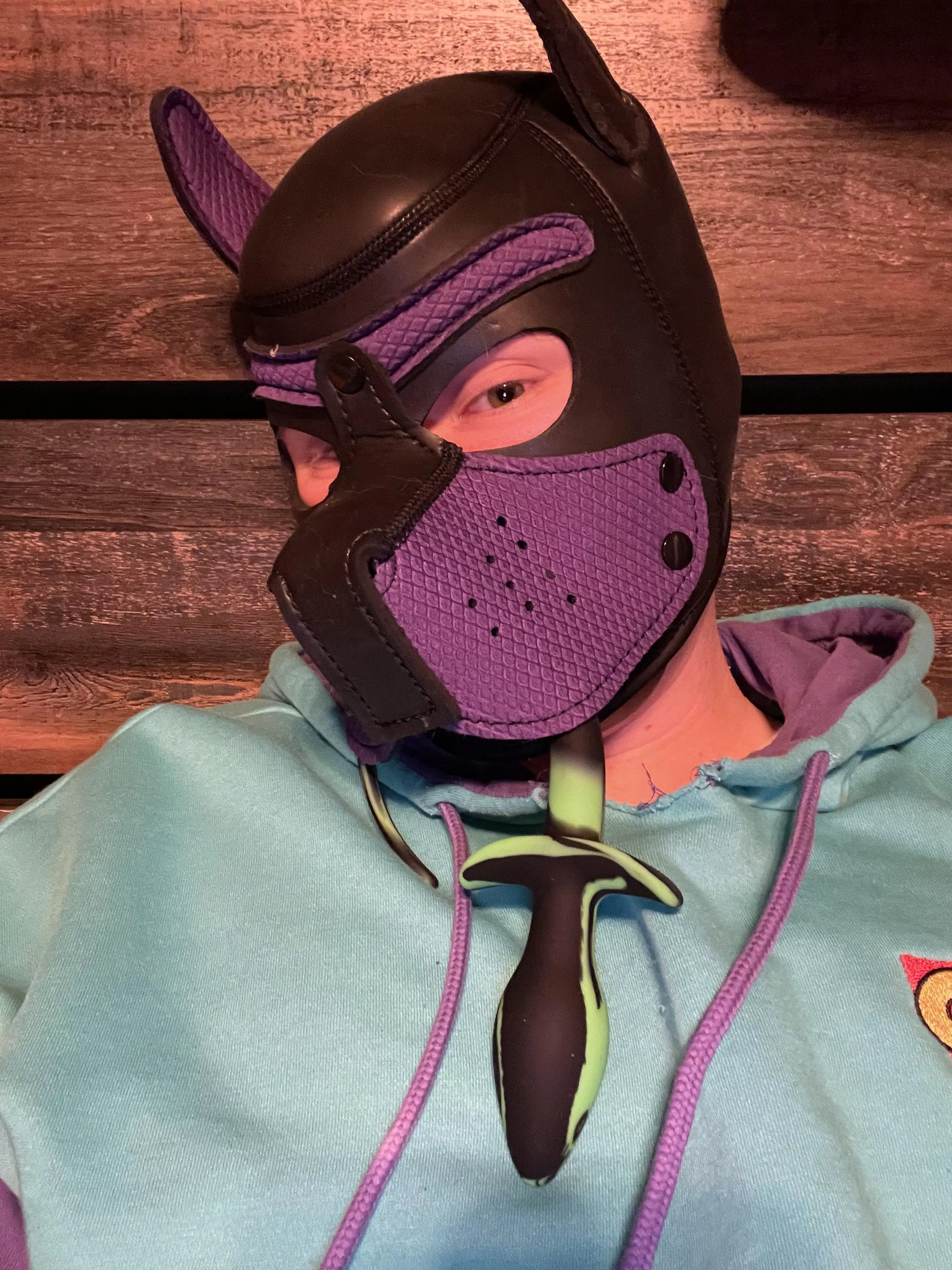 Puppy got his first tail today 😁