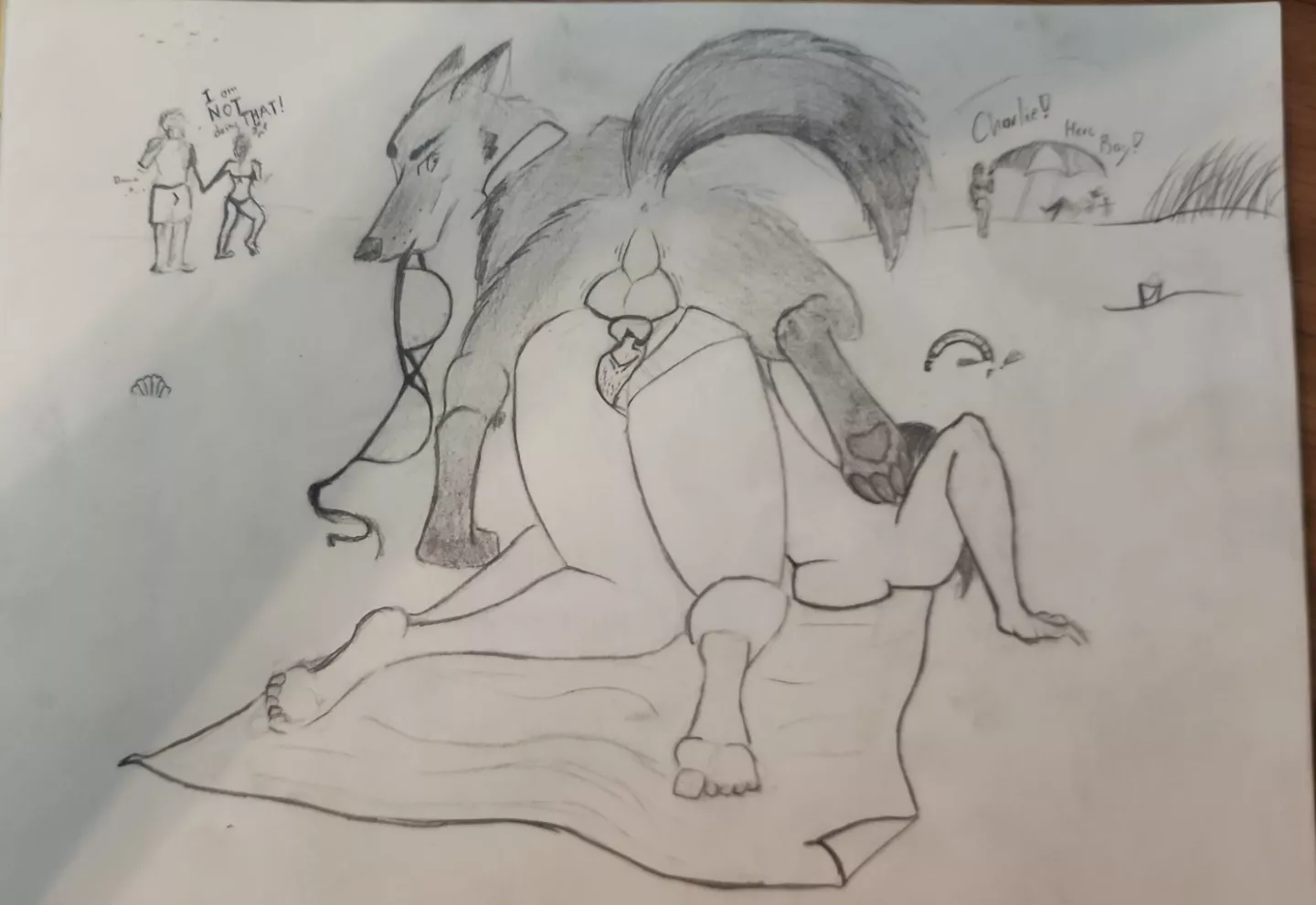 Somebody asked foe a more detailed version. By me.