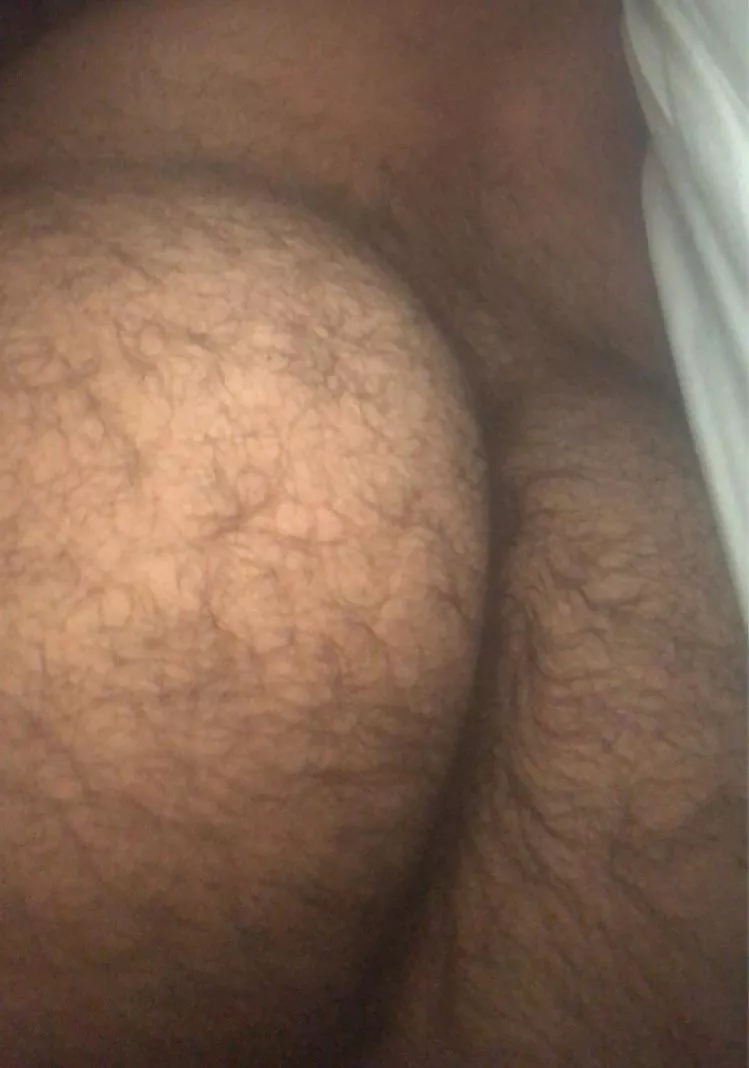very hairy bear ass wanting to get pounded by a top😈 who wants to help, Dm x