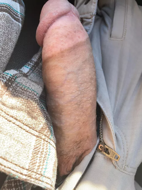 What about a quick pic on the morning drive