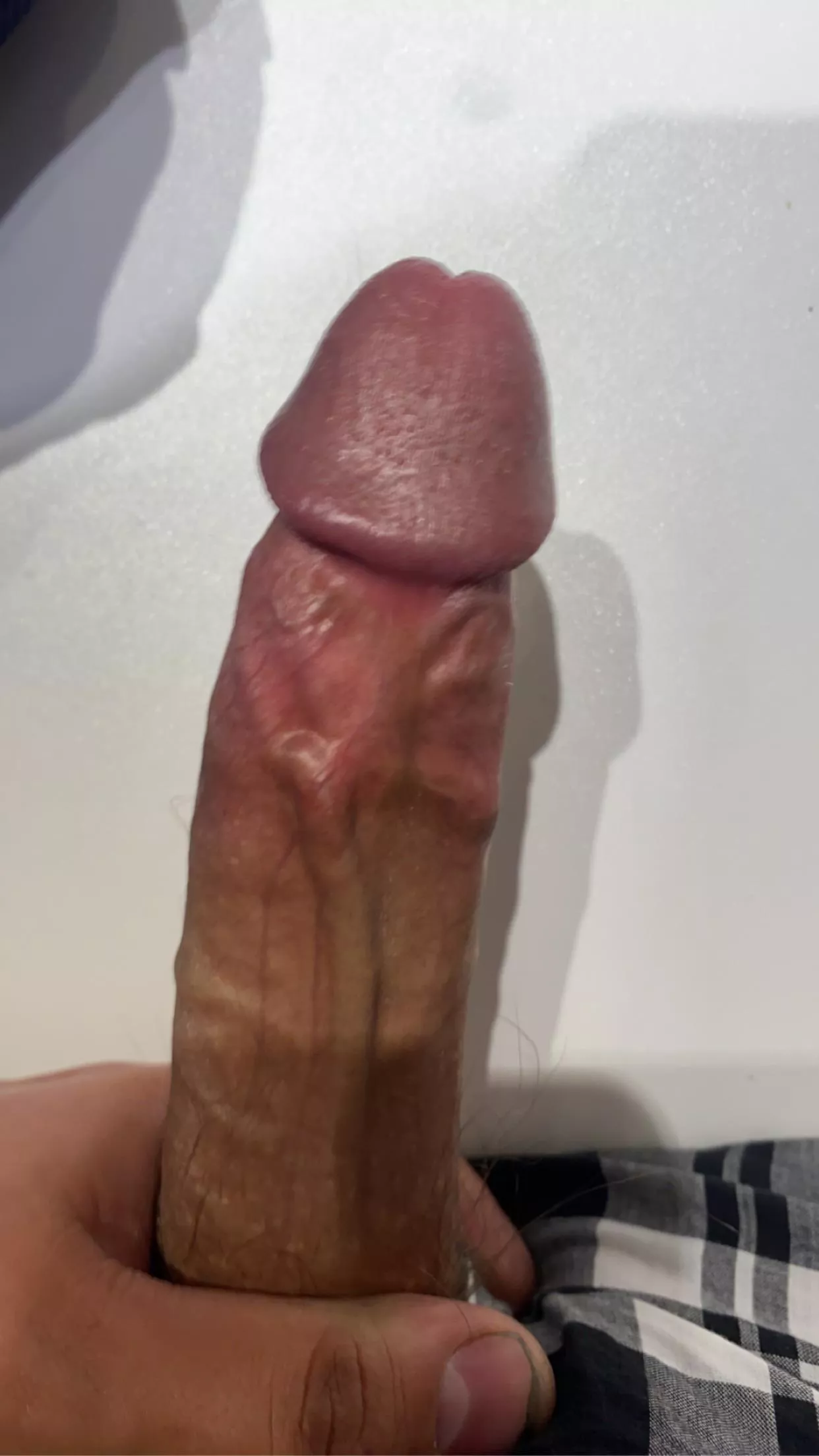 What would you rate my cock?