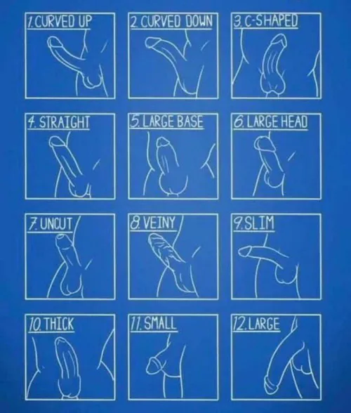 Which one are you? And which one you would like to be?