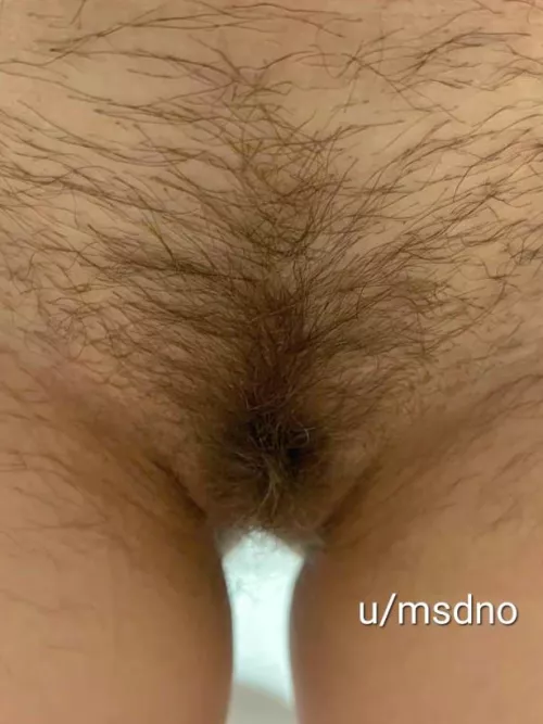Wife's hairy pussy
