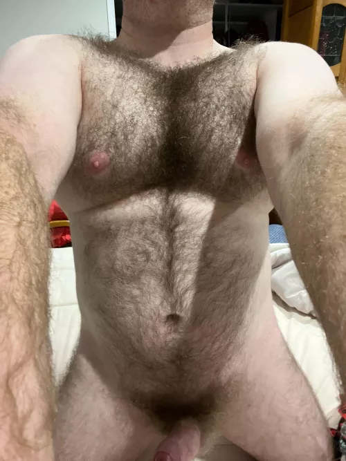 35 m uncut hairy dm sc